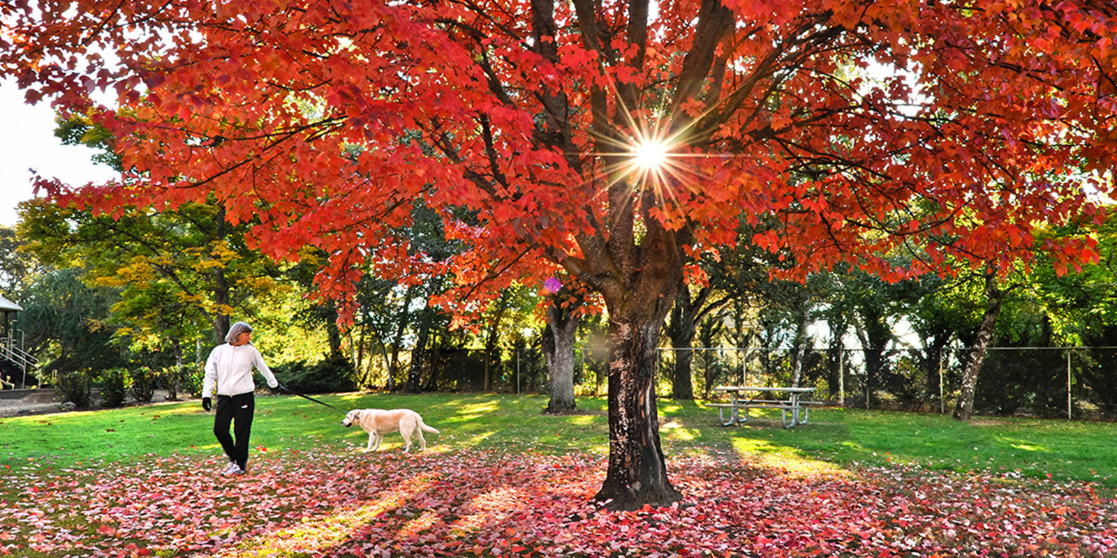 Photo 1col large about community intro