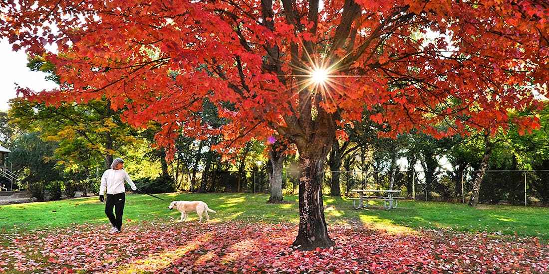 Photo 1col large about community intro