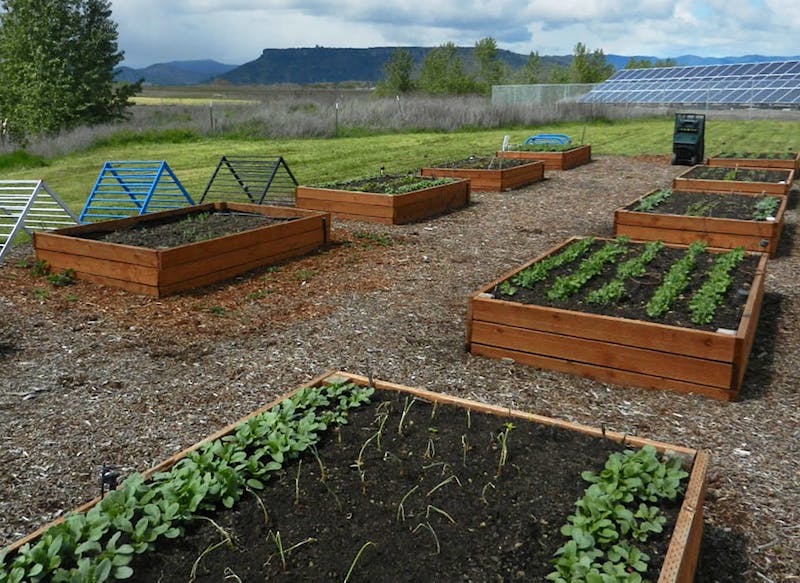 Photo 2col about community access gardens