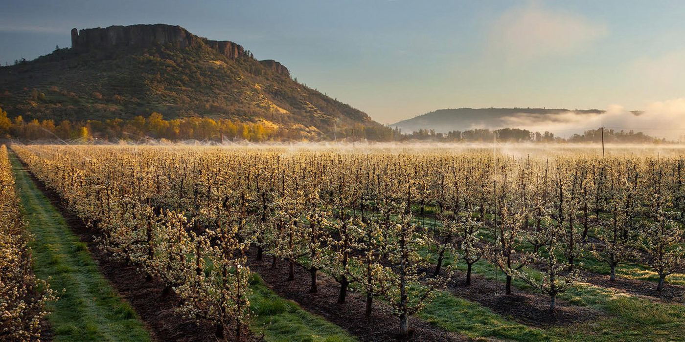 Photo environmental initiative compost field