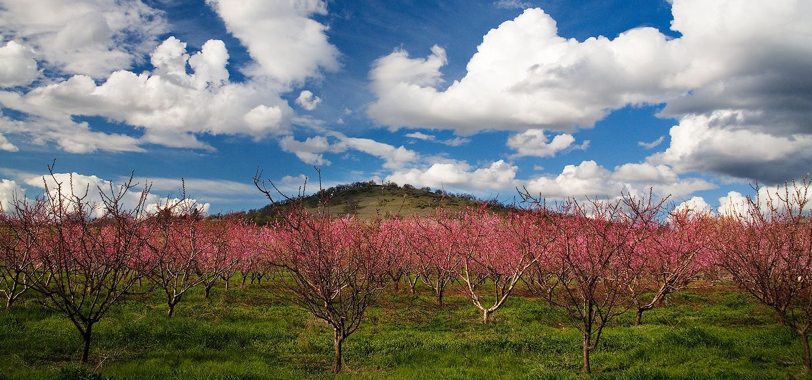 Trash Recycling Services Medford OR Rogue Disposal Recycling trash-recycling-services-medford-or-rogue-disposal-recycling
