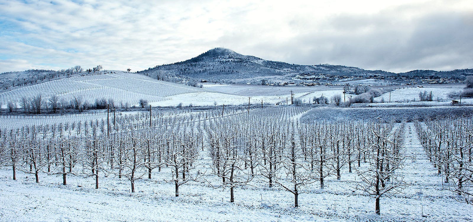 Photo homepage hero winter 2018