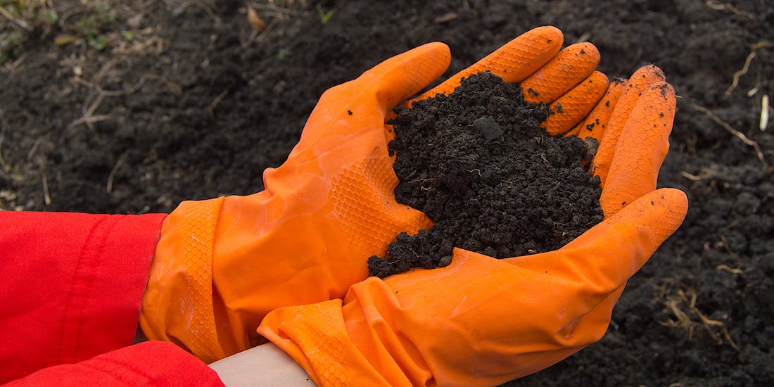 Photo resources contaminated soil